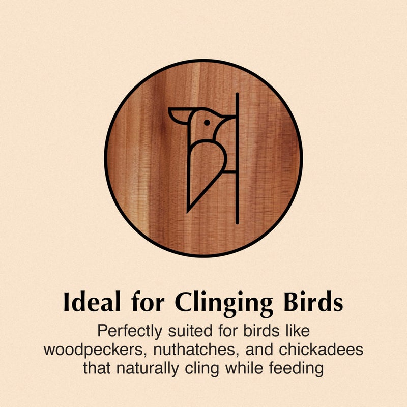 CS C&S Wild Bird Food Suet Plug Wood Feeder - Image 5